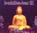 Front Standard. Buddha-Bar, Vol. 9 [CD].