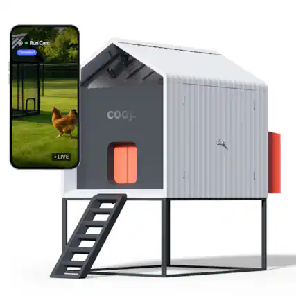 Run Cam
Chicken x1
LIVE
coop