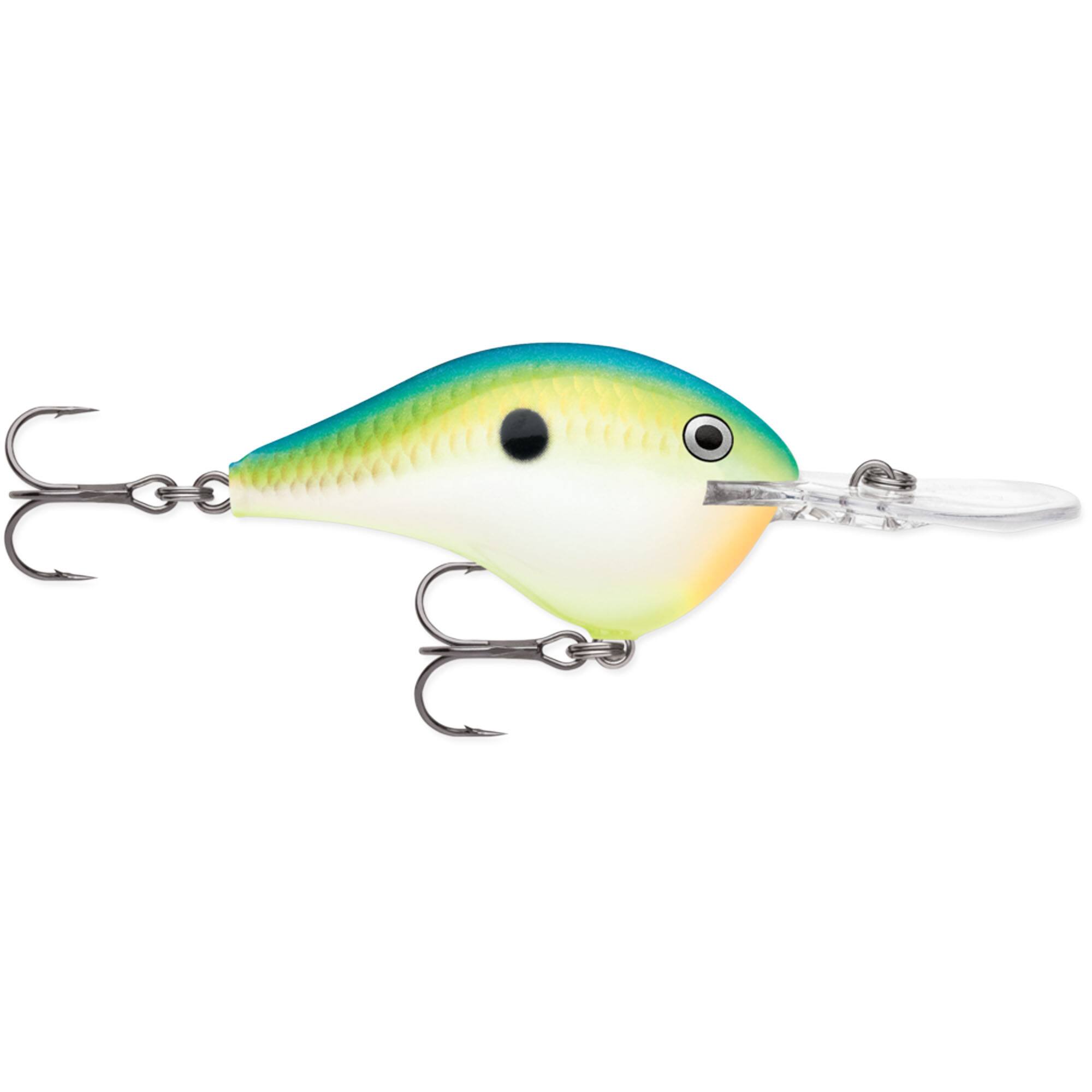 Citrus Shad