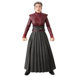 Hasbro F7036 6 inch Star Wars The Series Morgan Elsbeth Action Figure - Black