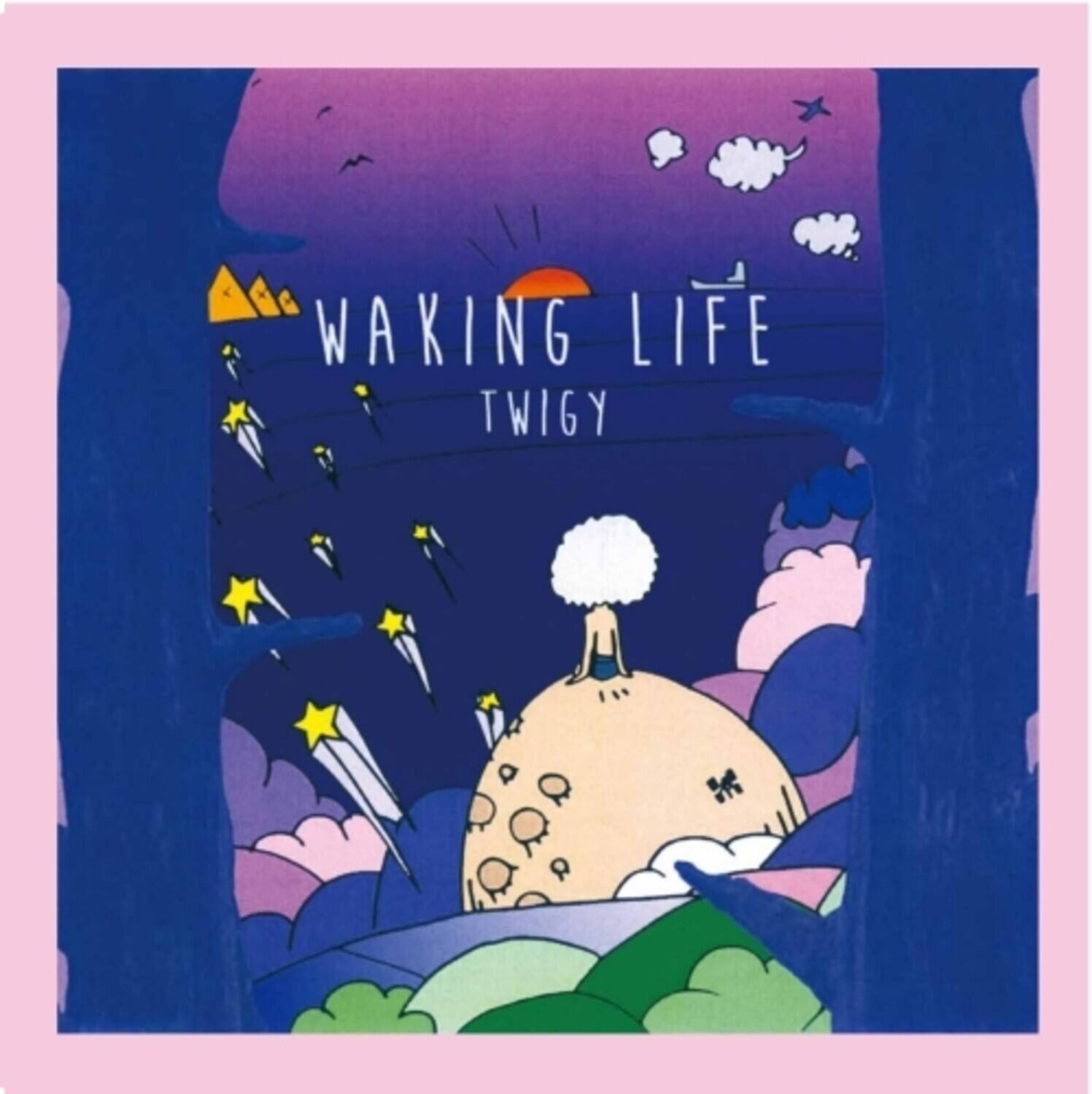 WAKING LIFE  
TWIGY