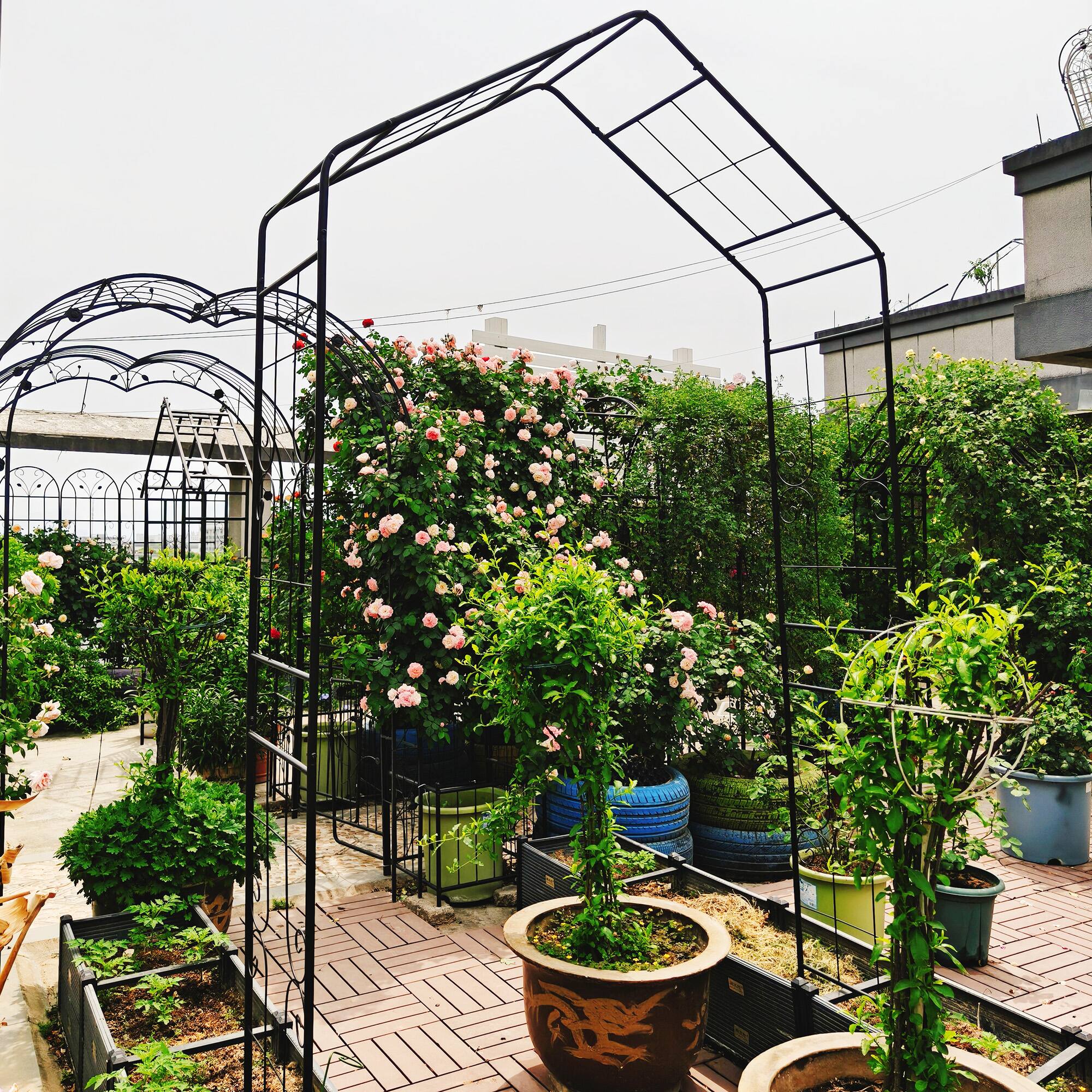 Alt View 2. Loheer - Metal Garden Arch Trellis 4.7 ft x 1.4 ft x 7.9 ft for Climbing Plants Outdoor - Black.