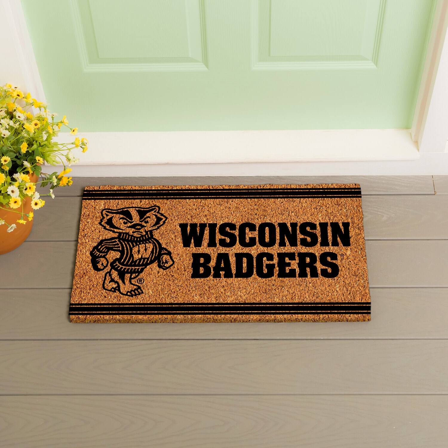 WISCONSIN BADGERS