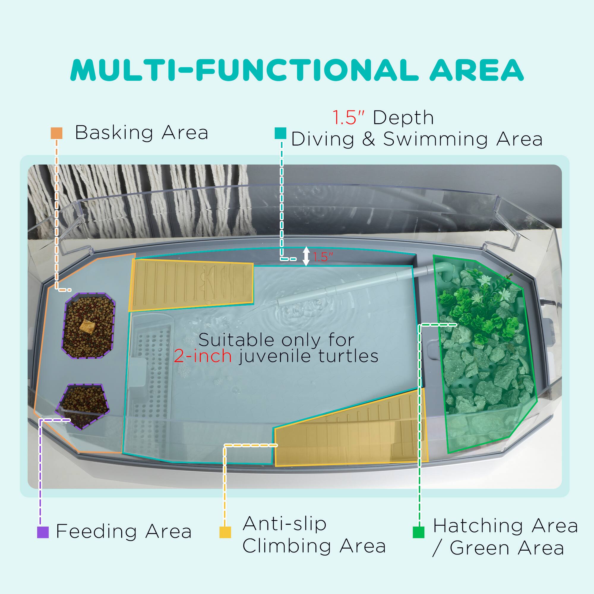 MULTI-FUNCTIONAL AREA  
Basking Area  
1.5" Depth  
Diving & Swimming Area  
Suitable only for 2-inch juvenile turtles  
Feeding Area  
Anti-slip Climbing Area  
Hatching Area / Green Area