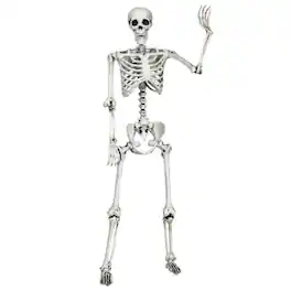 Boyel Living - Life-Size Hanging Skeleton Decor for Halloween - White