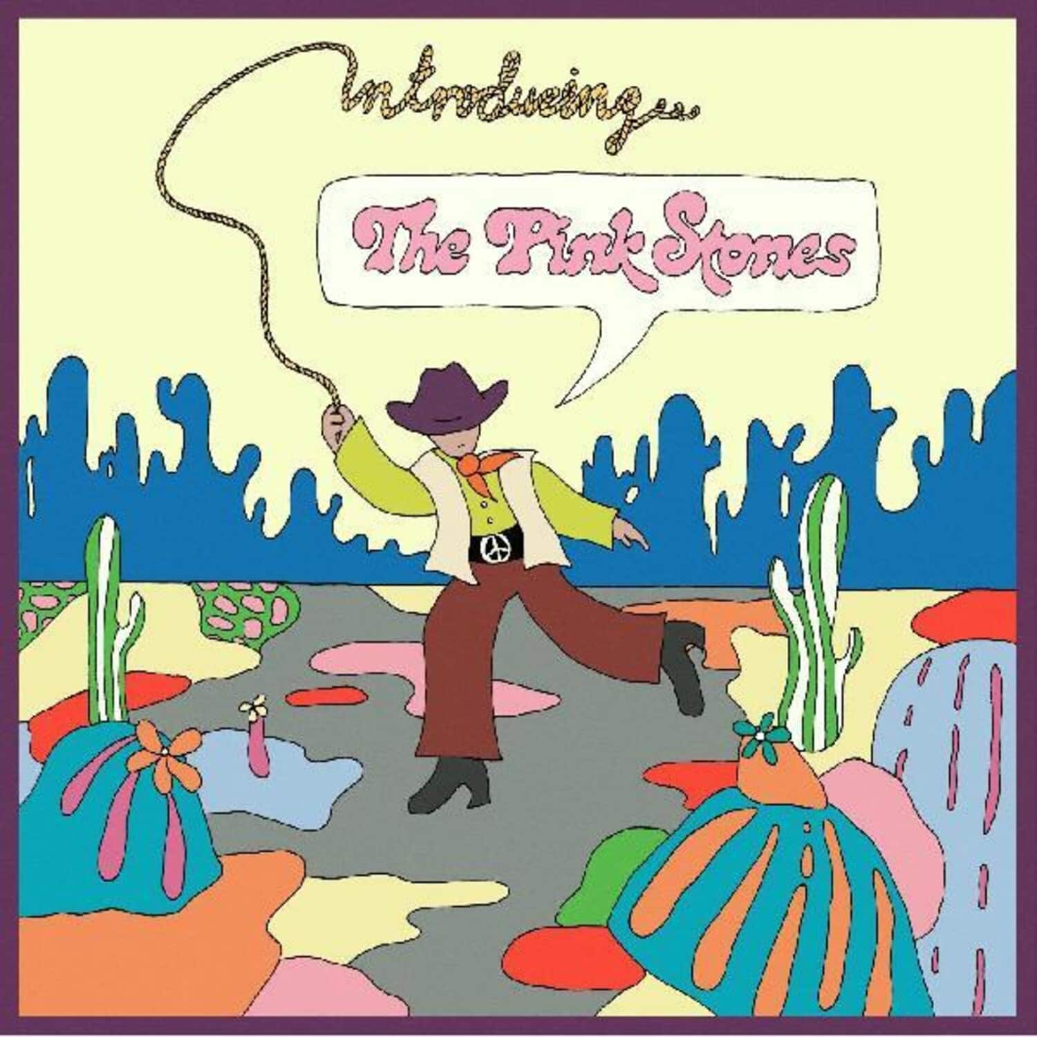 Pink Stones - Introducing...the Pink Stones   - COMPACT DISCS [CD] price history on PriceWatchPro