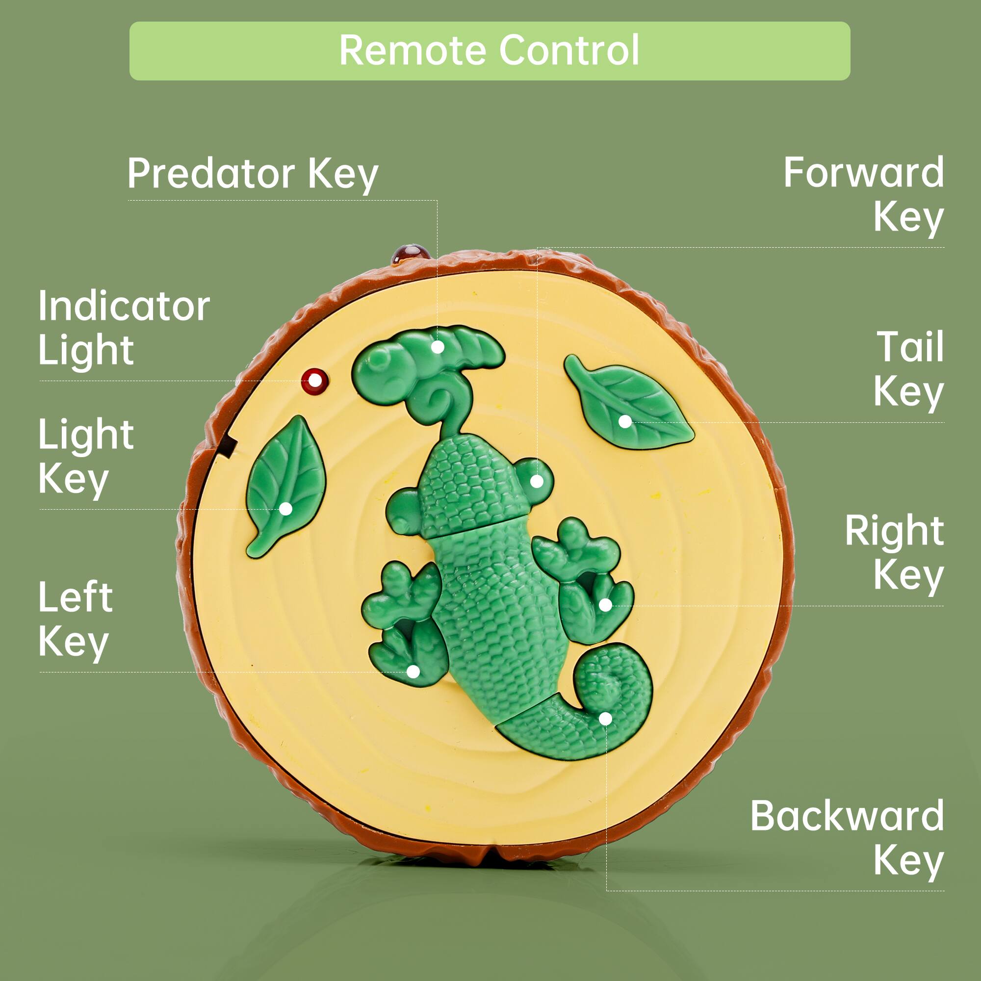 Remote Control

- Predator Key
- Forward Key
- Tail Key
- Right Key
- Backward Key
- Left Key
- Light Key
- Indicator Light