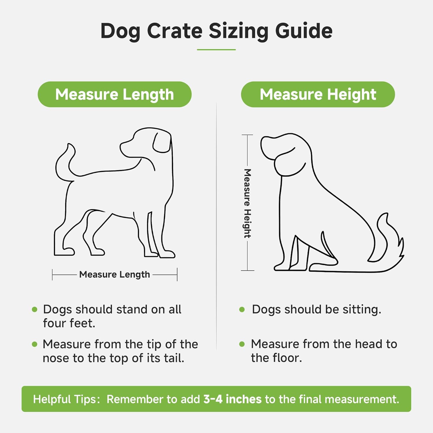 Dog Crate Sizing Guide

Measure Length
- Dogs should stand on all four feet.
- Measure from the tip of the nose to the top of its tail.

Measure Height
- Dogs should be sitting.
- Measure from the head to the floor.

Helpful Tips: Remember to add 3-4 inches to the final measurement.