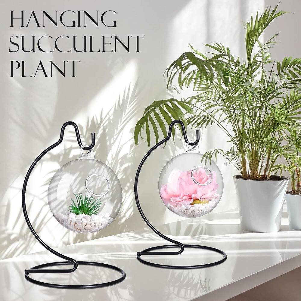 HANGING  
SUCCULENT  
PLANT