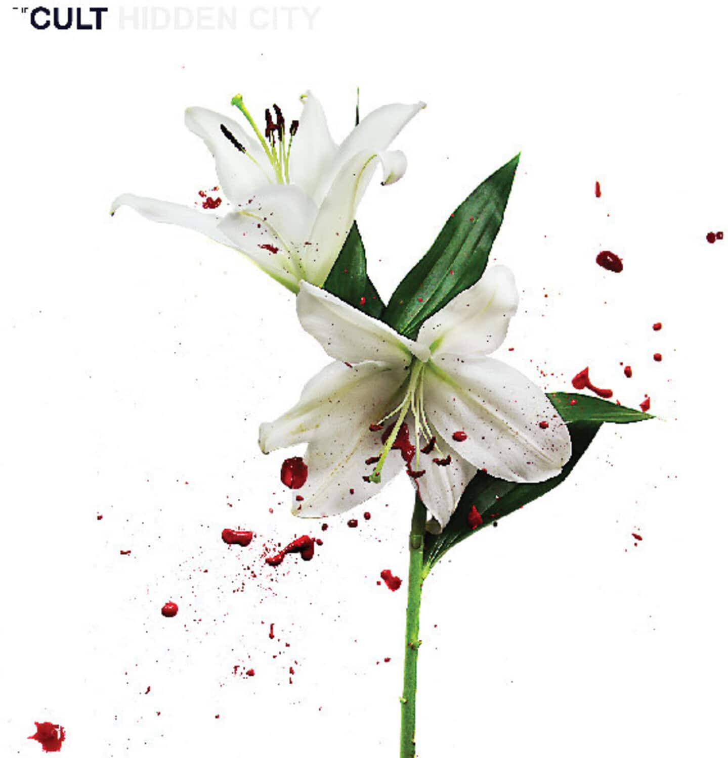 The Cult - Hidden City   - VINYL LP price history on PriceWatchPro