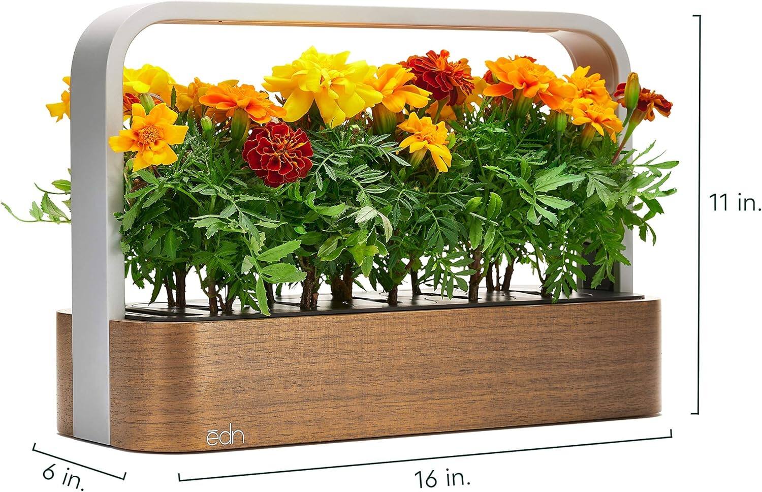 11 in.  
6 in.  
16 in.