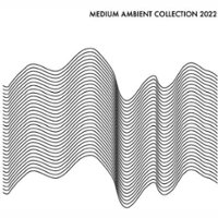 Medium Ambient Collection 2022 [LP] - VINYL - Front_Zoom