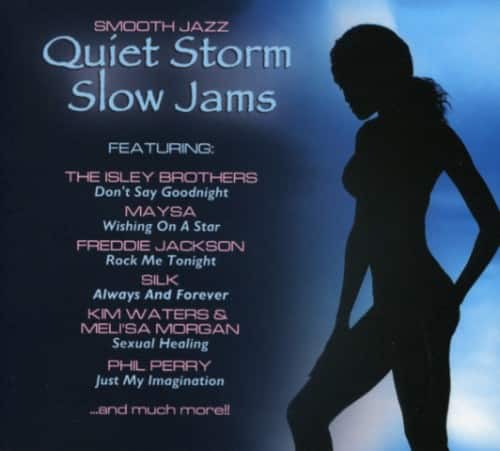 Various Artists - Quiet Storm Slow Jams   - COMPACT DISCS [CD] price history on PriceWatchPro