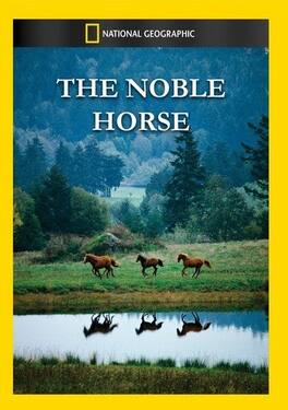The Noble Horse - DVD