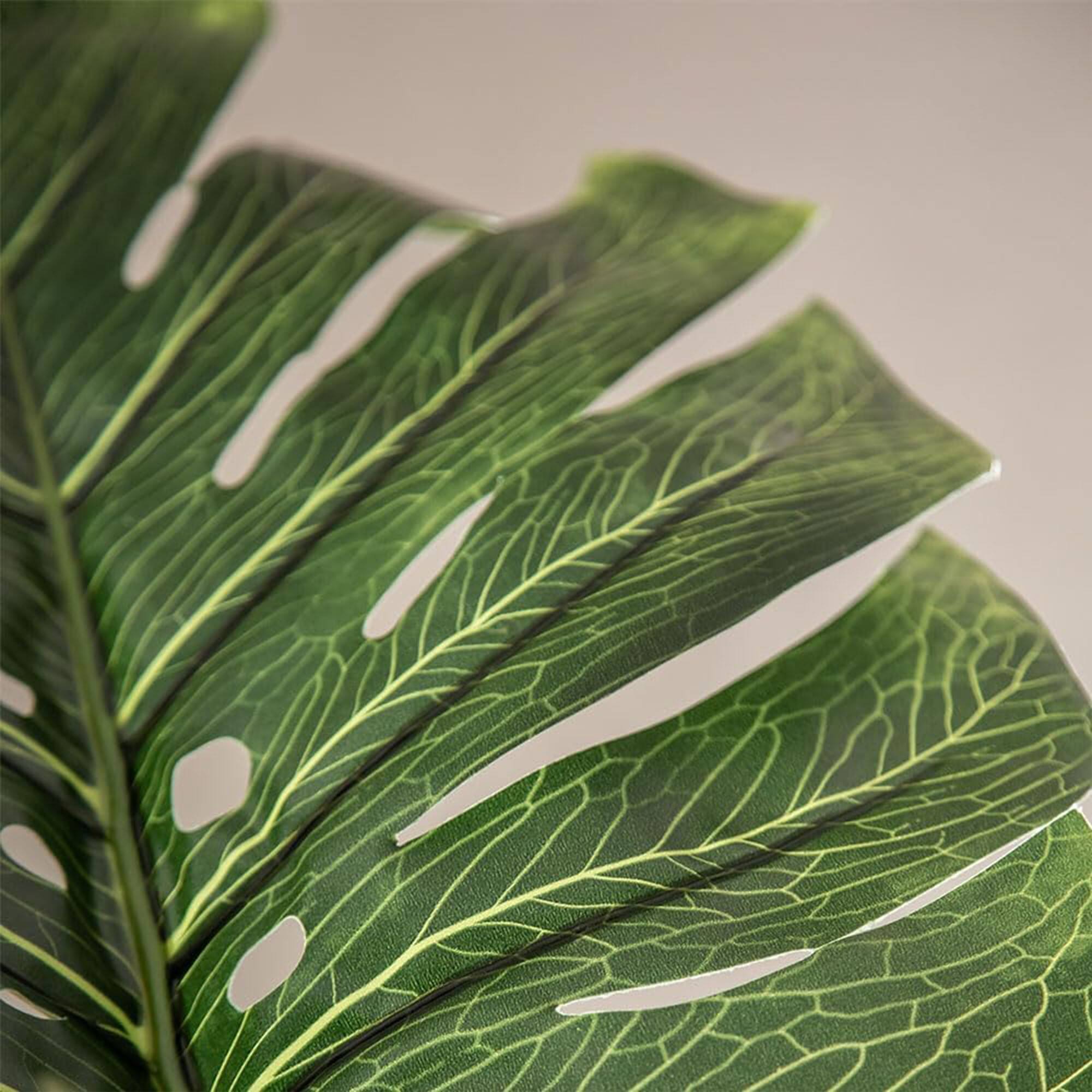 Alt View 7. Maia Shop - Maia Shop Artificial Monstera Tropical Palm Tree Home Decoration, 72 Inches - Green.