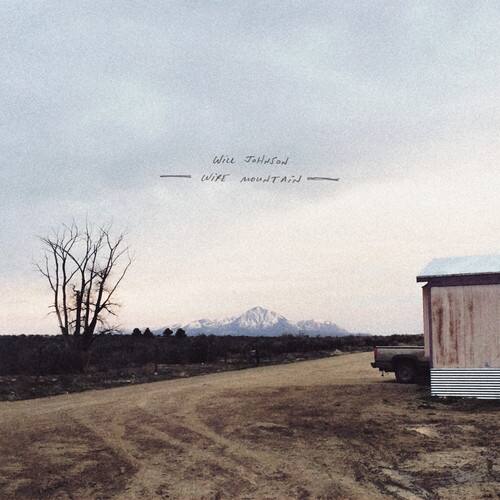 Wire Mountain [LP] [VINYL] price history on PriceWatchPro