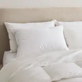 Puredown - Luxurious 90% Down Pillow Made in Germany Single Pack, Standard/Queen - White