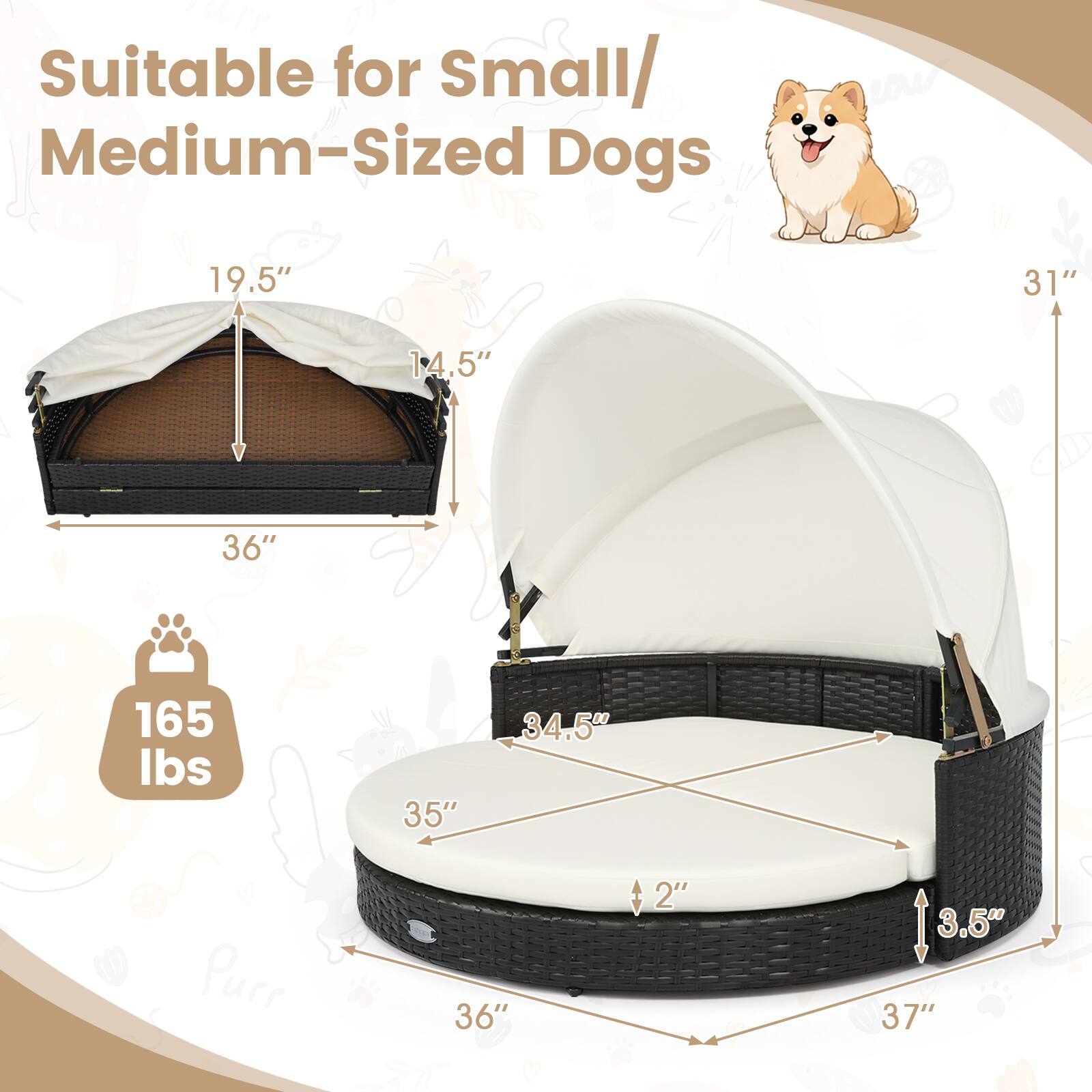 Suitable for Small/Medium-Sized Dogs

19.5"
31"
14.5"
36"
165 lbs
35"
34.5"
36"
2"
3.5" 37"