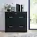 Alt View 16. OSP Home Furnishings - Alpine 2-Drawer Lateral File with Lockdowel Fastening System - Black.