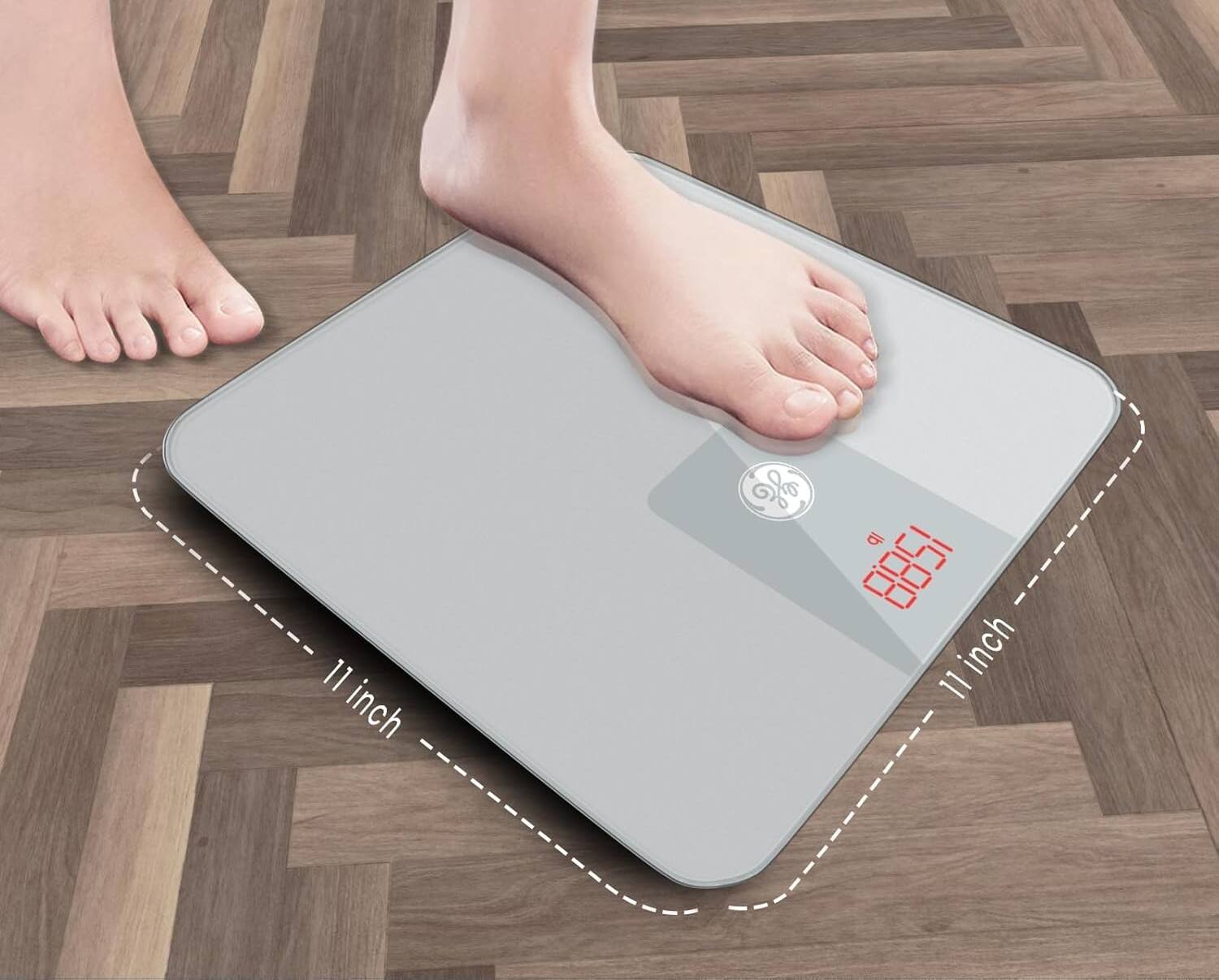 11 inch s 6 1000 I inch 11

11 inch
11 inch