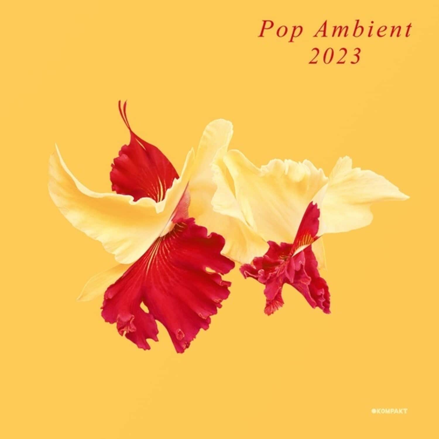 Various Artists - Pop Ambient 2023   - COMPACT DISCS [CD] price history on PriceWatchPro