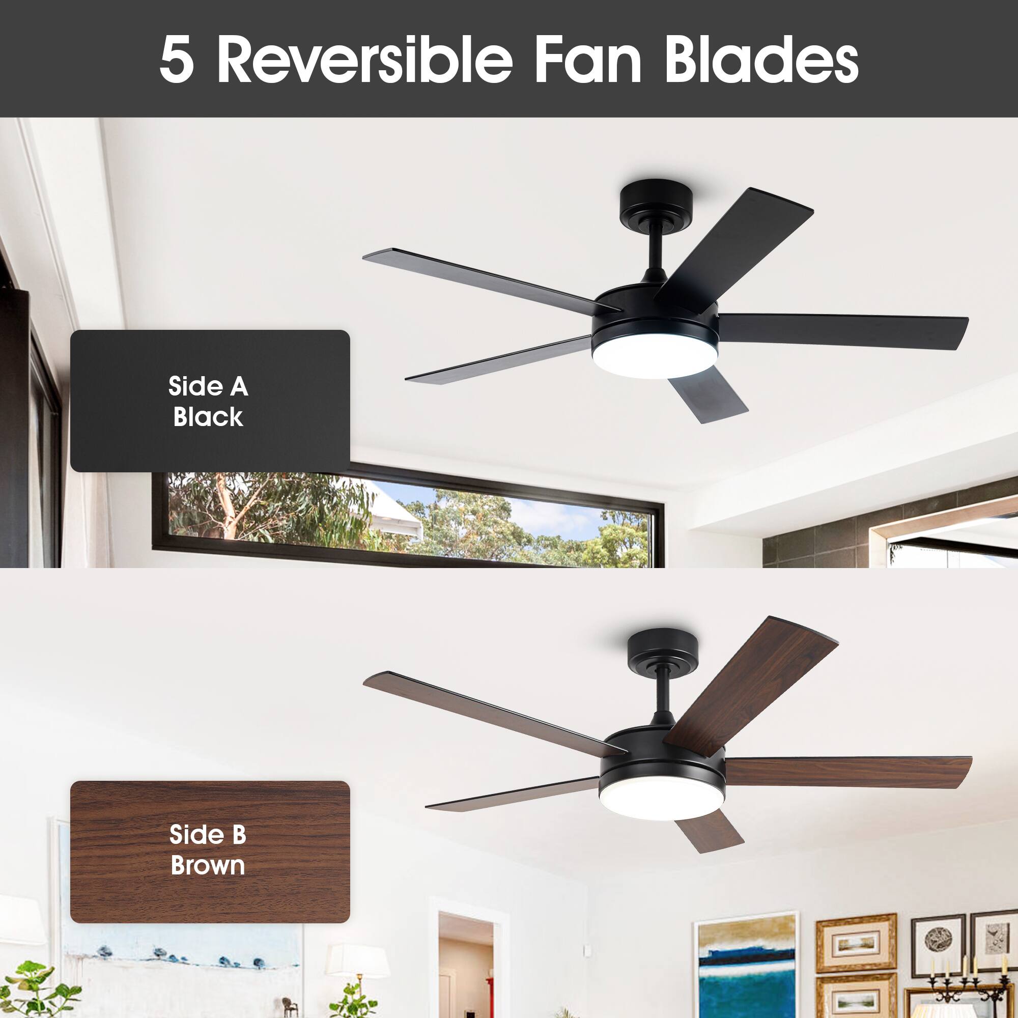 5 Reversible Fan Blades

Side A
Black

Side B
Brown