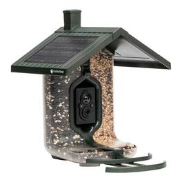Tactacam - WiFI enabled Smart Bird Feeder - Seed - Green, Clear