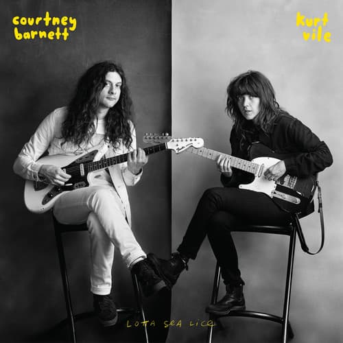 Courtney Barnett & Kurt Vile - Lotta Sea Lice   - VINYL LP price history on PriceWatchPro