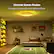 Diverse Scene Modes
Provides immersive themed lighting effects
EAT. SLEEP. FOOTBALL.
C'est Glané Tor
COMI NO - playload ORG - a 1 d & OR I0 H S