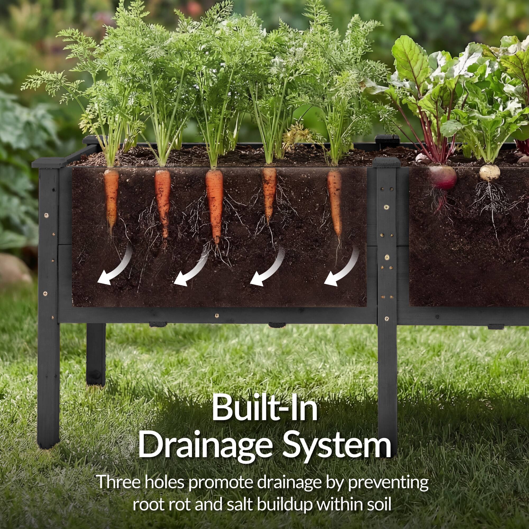 Built-In Drainage System

Three holes promote drainage by preventing root rot and salt buildup within soil