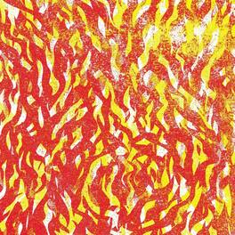 The Bug - Fire - VINYL LP
