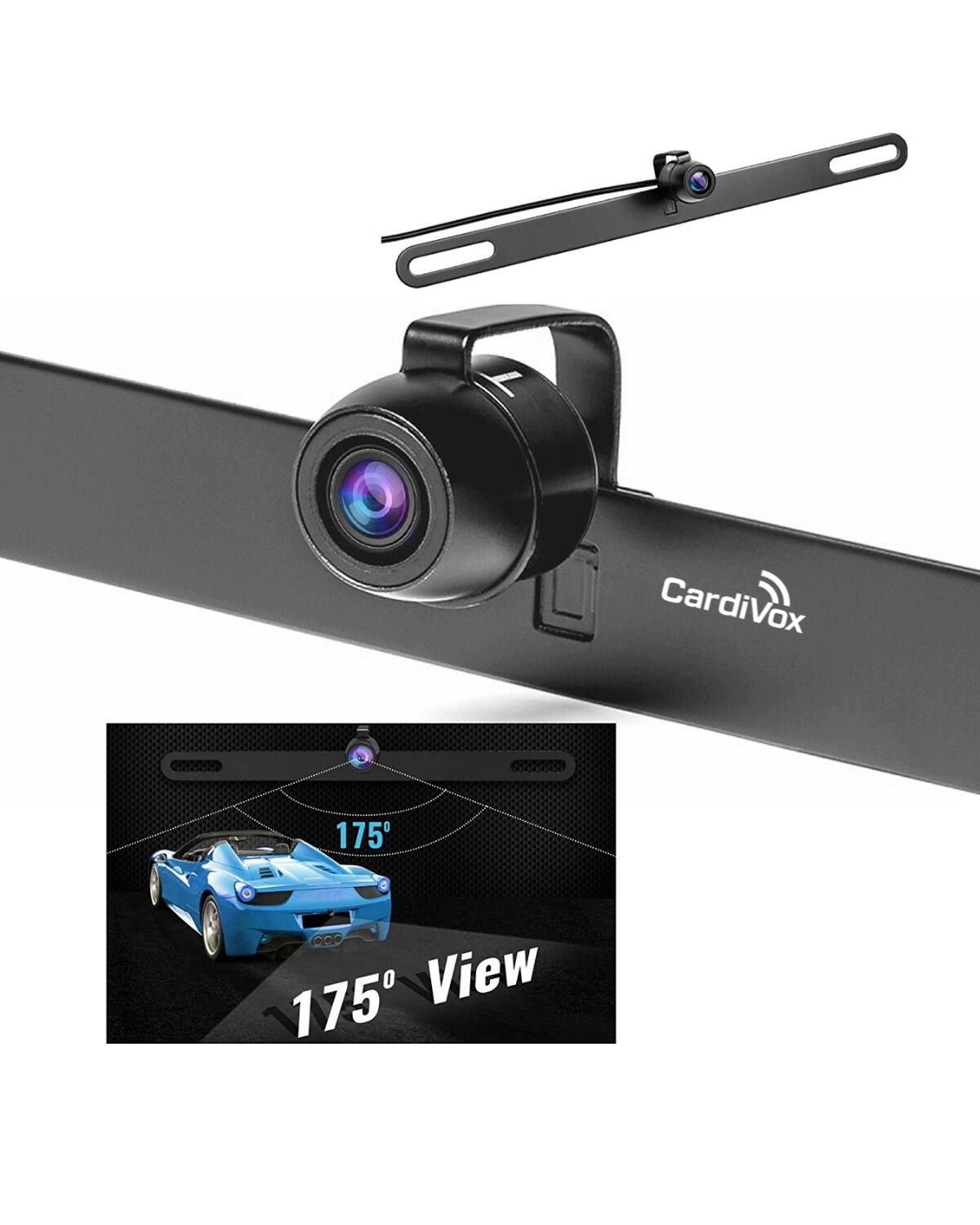 CardiVox  
175° View