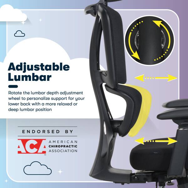 Adjustable Lumbar  
Rotate the lumbar depth adjustment wheel to personalize support for your lower back with a more relaxed or deep lumbar position.  

ENDORSED BY  
AMERICAN CHIROPRACTIC ASSOCIATION