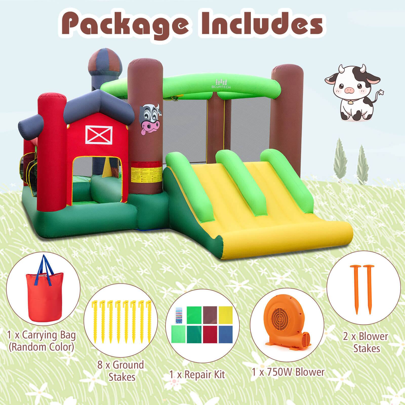 Package Includes

- 1 x Carrying Bag (Random Color)
- 8 x Ground Stakes
- 1 x Repair Kit
- 1 x 750W Blower
- 2 x Blower Stakes