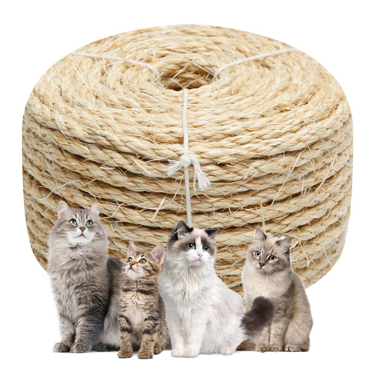 Hirose Alice - Cat Sisal Rope 164-feet For Scratcher Repair And Replace Diy Twine Tree Tower Carpet Mat Kicker House Pet C - Natural 1/4 inch by 32ft