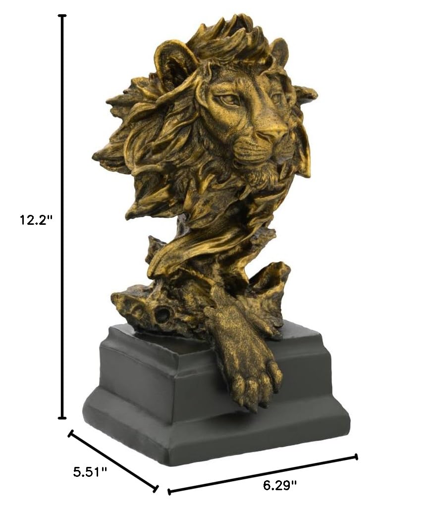 12.2"  
5.51"  
6.29"