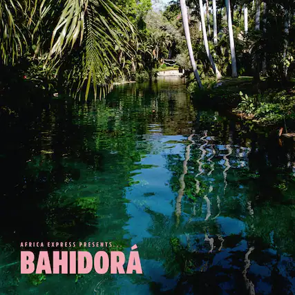 AFRICA EXPRESS PRESENTS...
BAHIDORA