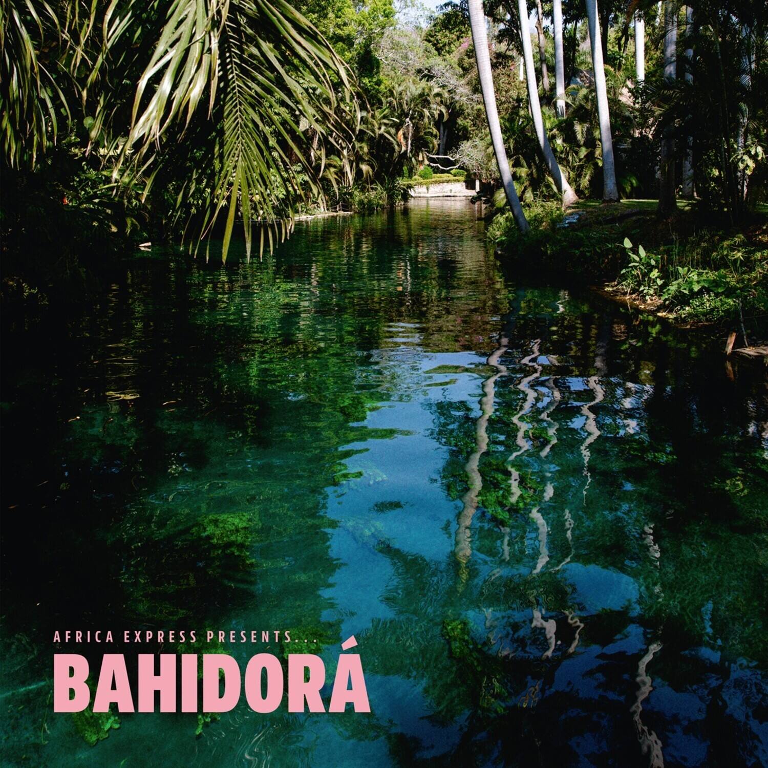 AFRICA EXPRESS PRESENTS...  
BAHIDORA