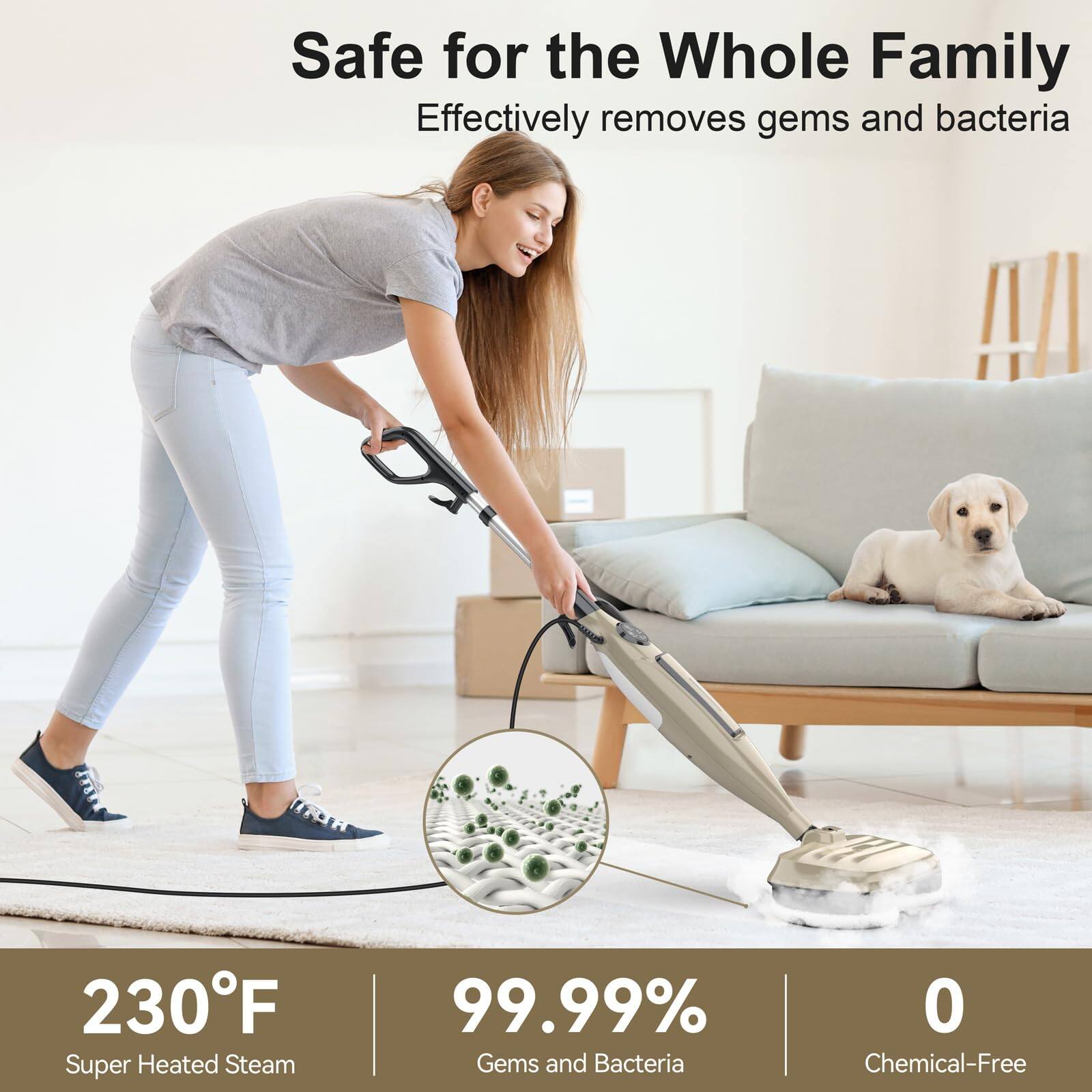 Safe for the Whole Family  
Effectively removes gems and bacteria  

230°F  
Super Heated Steam  

99.99%  
Gems and Bacteria  

0  
Chemical-Free