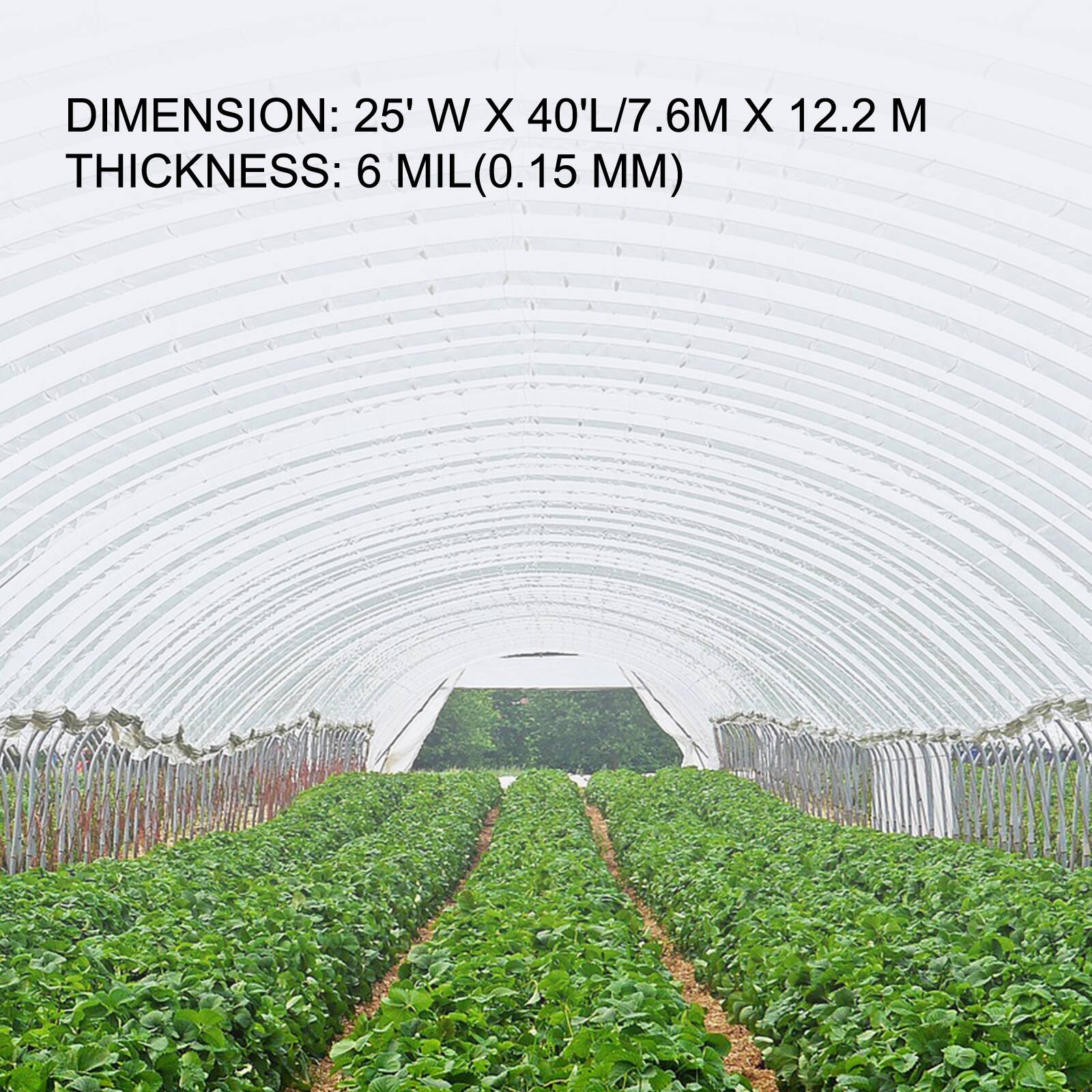 DIMENSION: 25' W X 40' L / 7.6M X 12.2 M  
THICKNESS: 6 MIL (0.15 MM)