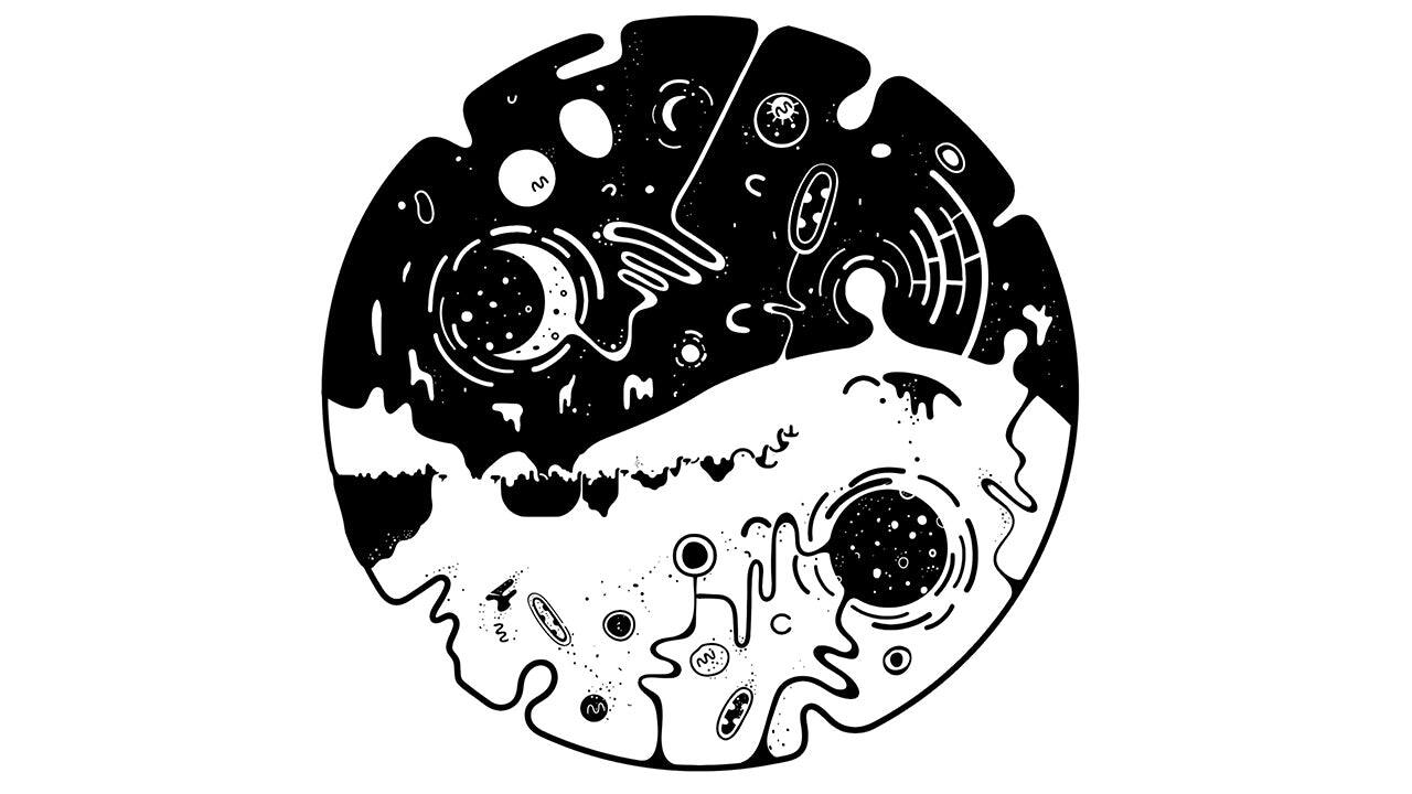 Alt View 4. Red Art Games - OVIVO [PlayStation 4].