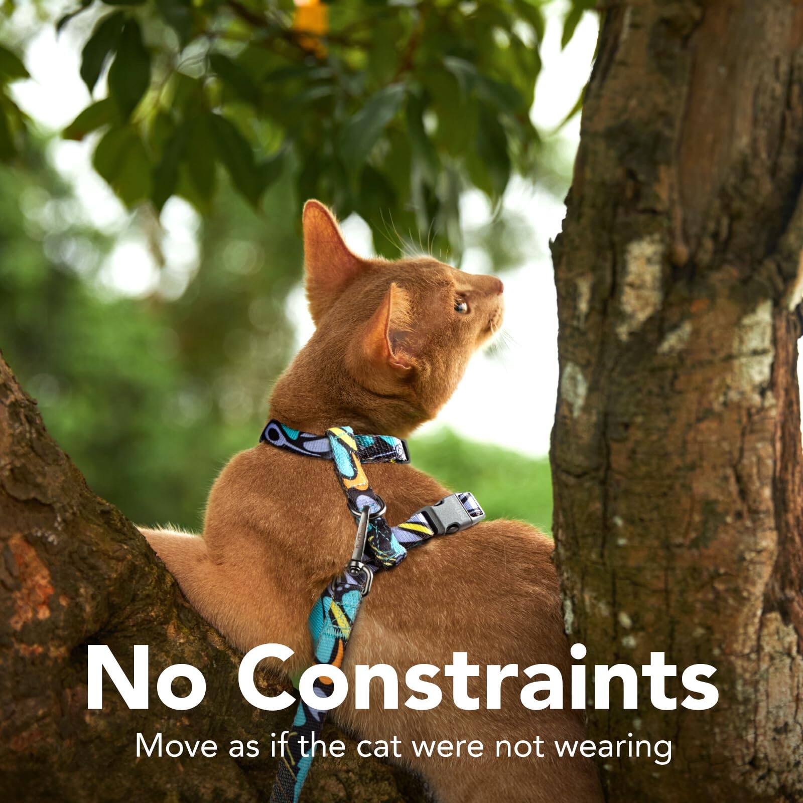 No Constraints  
Move as if the cat were not wearing