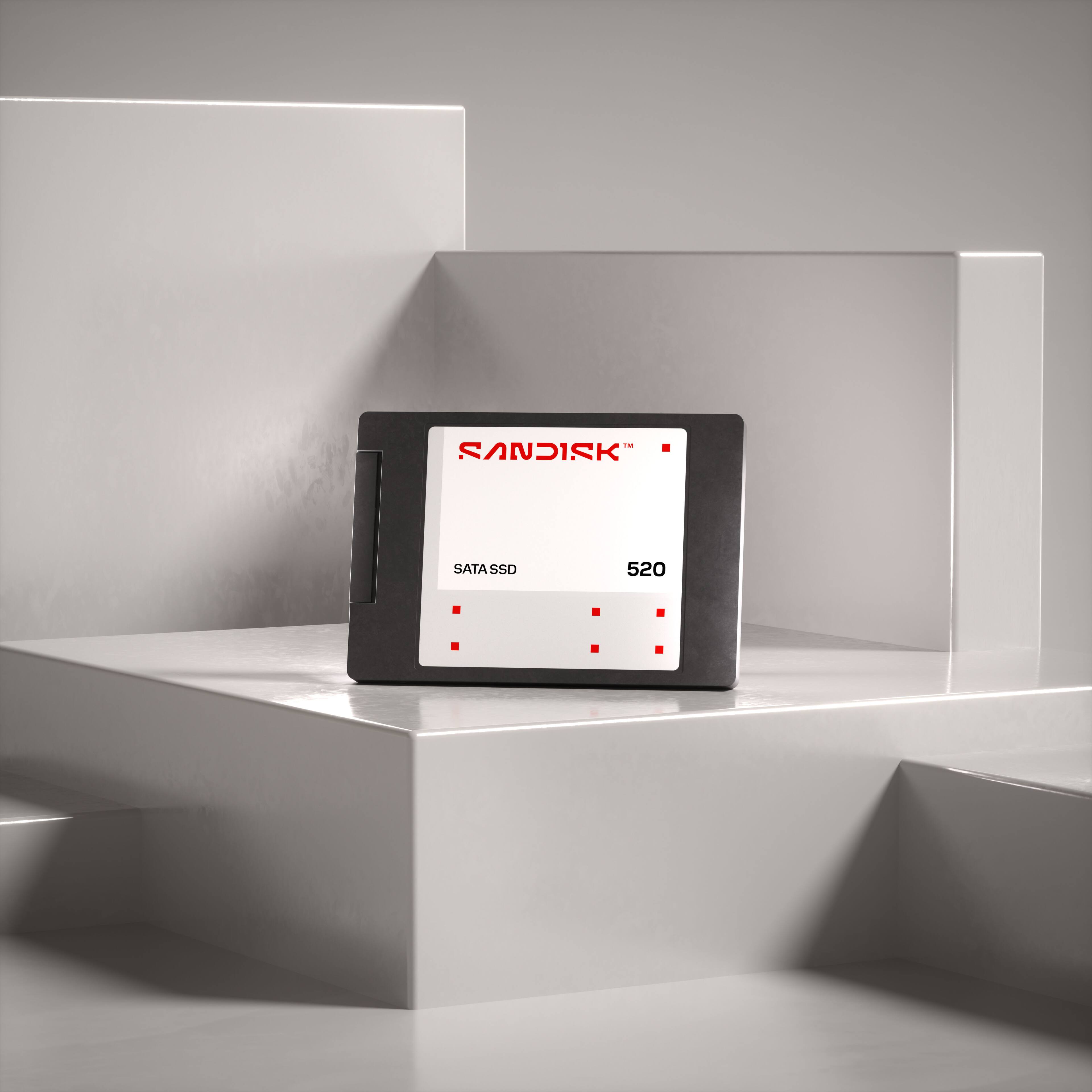 SANDISK  
SATA SSD  
520