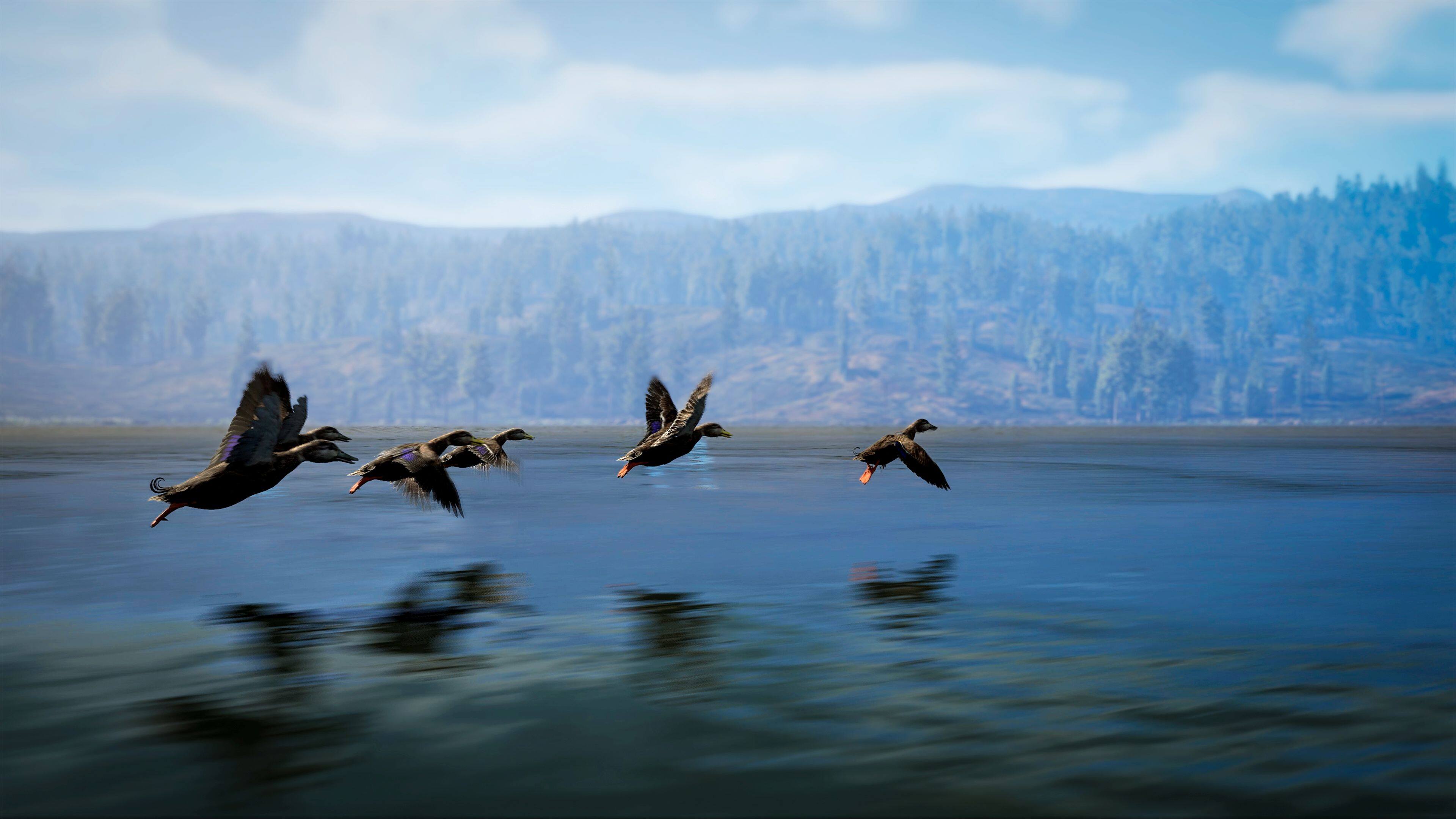 Alt View 5. Solutions 2 Go - Hunting Simulator 3 for Playstation 5.