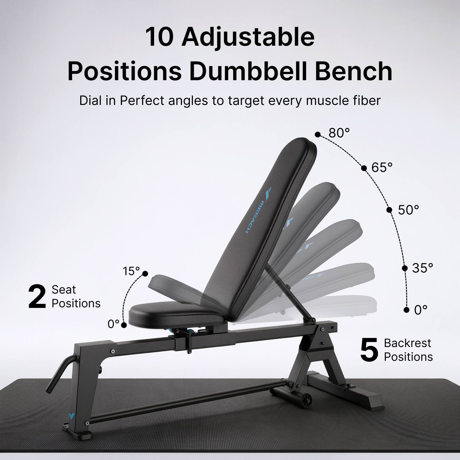 10 Adjustable Positions Dumbbell Bench  
Dial in Perfect angles to target every muscle fiber  
2 Seat Positions  
5 Backrest Positions
