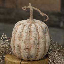 Angle. BreeBe - *White Birch Pumpkin 8" - White Birch.