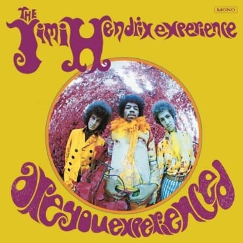 Jimi Hendrix - Are You Experienced (US Sleeve)   - VINYL LP price history on PriceWatchPro