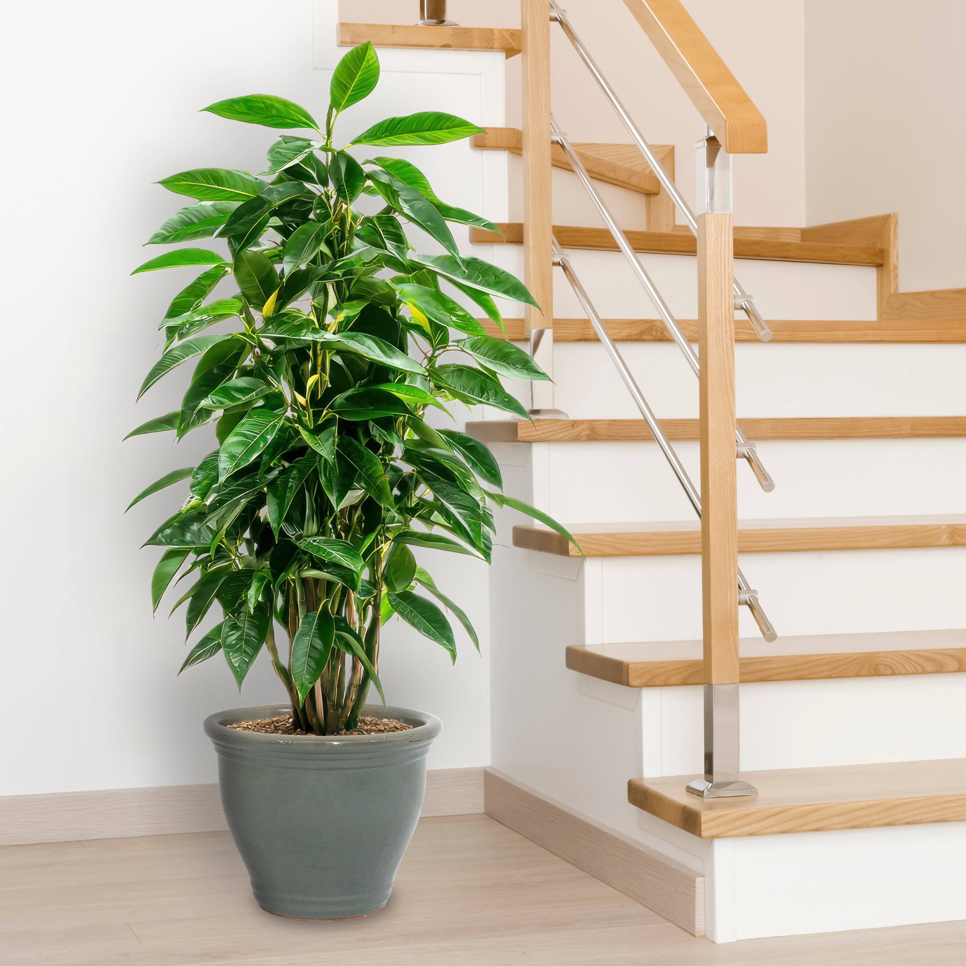 Alt View 8. Sunnydaze - 15 in Studio High-Fired Glazed Ceramic Planter - Gray.