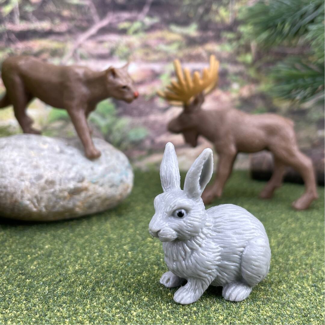 Alt View 3. Safari Ltd. - Nature Toob Toy.