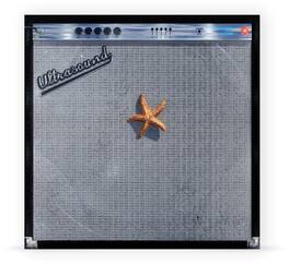 The Neighbourhood - (((((Ultrasound)))))+ - VINYL LP